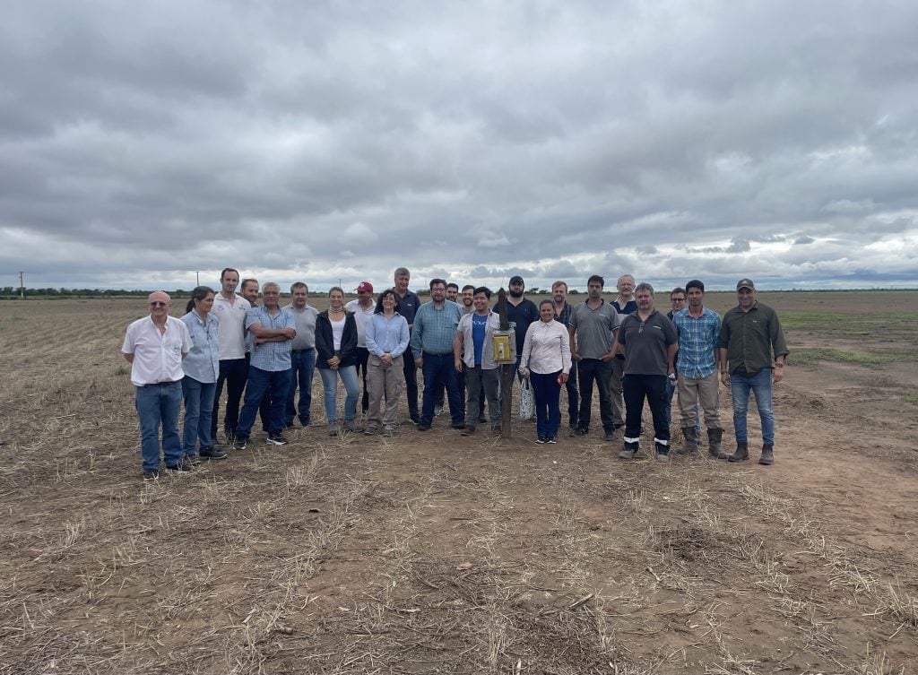 Seminario Chicharrita Tucumán 2024
